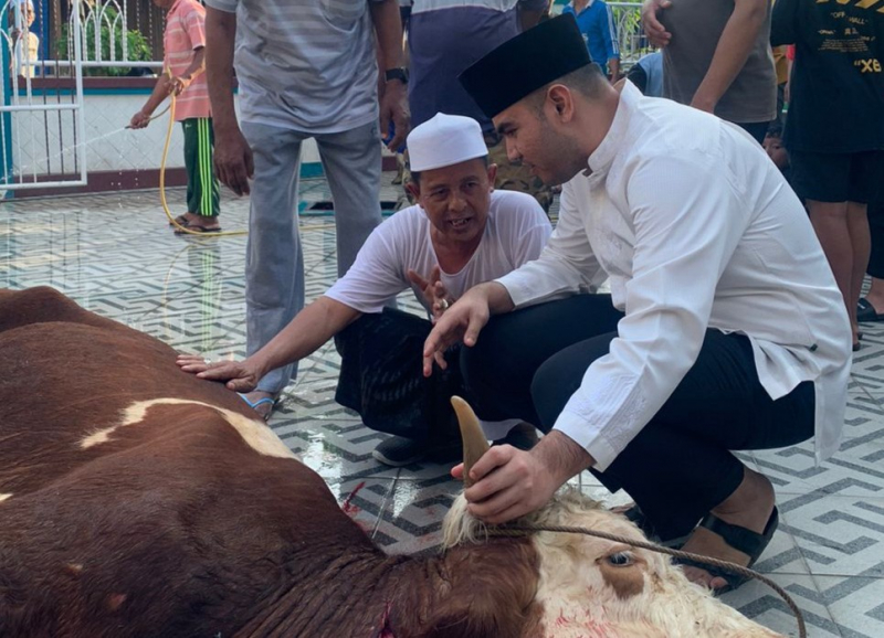 Anggota DPRD Provinsi Jambi Rendra Usman Kurban Sapi Simental di Kampung Nelayan, PETAJAMBI.COM