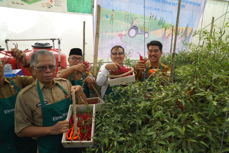 BI Jambi Bersama TPID Panen Perdana Cabai Merah Program Replikasi Infratani, PETAJAMBI.COM