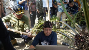Pembukaan Lahan Tanpa Bakar, PETAJAMBI.COM