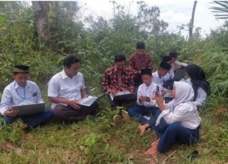 Camat Mandiangin Timur Bantah Siswa Belajar di Hutan Karena Tidak Ada Jaringan Internet, PETAJAMBI.COM