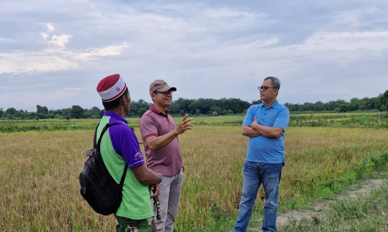 Dukung Swasembada Pangan, Muhammad Nasir Apresiasi Semangat Poktan Kelola Sawah, PETAJAMBI.COM